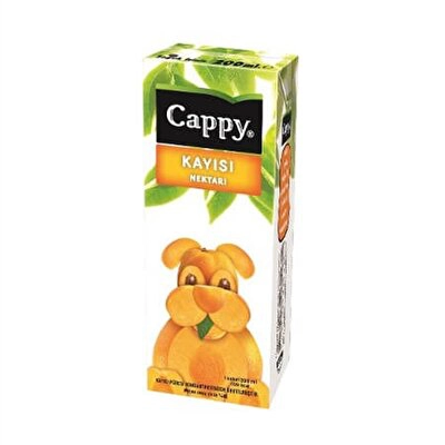 Cappy Kayısı Nektar Tetra 27'li 200 ml