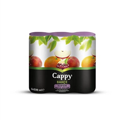 Cappy Meyve Suyu Karışık Kutu M.P. 6*330 ml