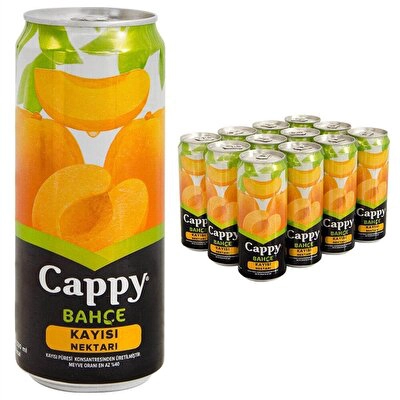 Cappy Meyve Suyu Kayısı Kutu 12'li 330 ml
