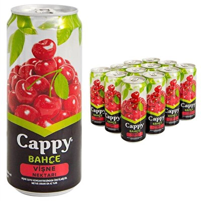 Cappy Vişneli İçecek Kutu 12'li 330 ml
