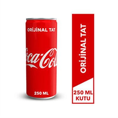 Coca Cola Kutu 12*250 ml