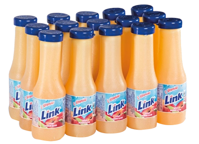 Link Şeftali Aromalı İçecek 15'li 200 ml